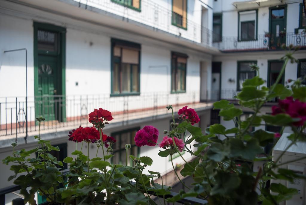 Friendly Home In The Center — Photos 2